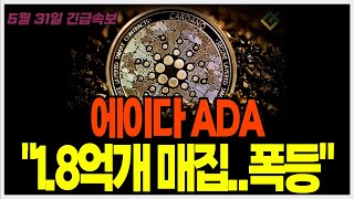 에이다 ADA 코인 "고래, 일주일 간 1.8억개 매집" 이걸 5월 전체로 봤더니?!