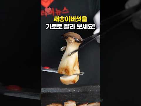 육즙(?) 팡팡 터지는 버섯?!