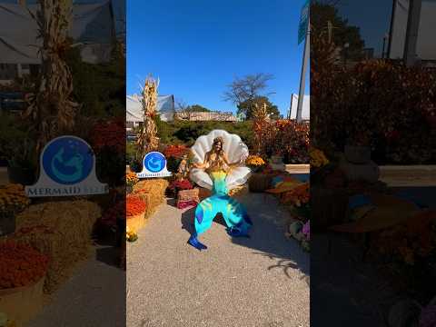 Mermaid Elle® Meet & Greet at Scarecrow Fest, Highland Park,IL🍂 #mermaid #kids #professionalmermaid