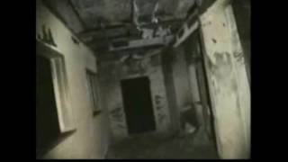びっくりする動画