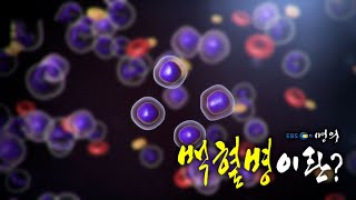[명의 의학백과📖] 백혈병이란?