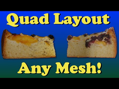 Make Any Mesh Into A Quad Layout - Using Instant Meshes
