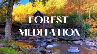 Relaxing Music, Meditation, Forest, Rain, Nature | Lofi Mofi Music