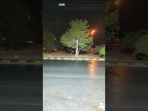 هذا خلق الله #حملة_توصيل_القناة_1000_مشترك #حمله_ليون_لمساعده_المبدعين