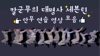 칼군무의 대명사 | [세븐틴 / 칼군무 모음]