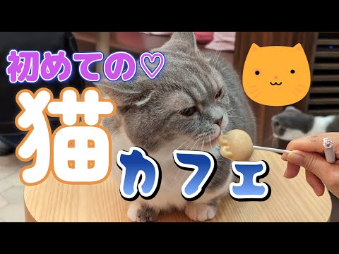【MOCHA】初めての♡猫カフェでニャンニャン
