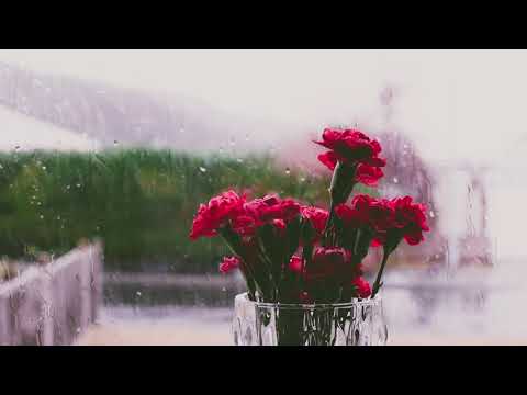 [3 hours] Peaceful and Relaxing Piano Music & Rain Sound for Deep Sleeping | By R & H Music 🎹🎼🎵🎶