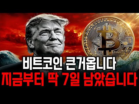 [긴급] D-7 , 비트코인 역대급 한방 나올겁니다