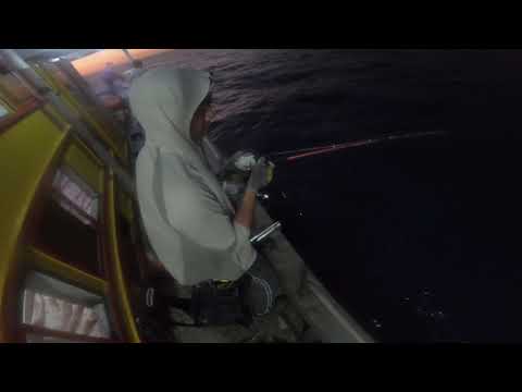 沙巴釣魚  黃昏水 船釣