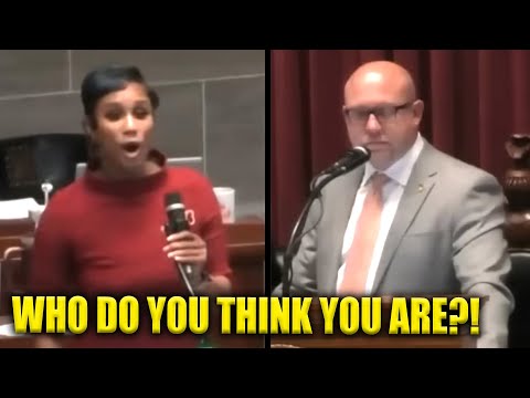 GOP Lawmakers Left Speechless as Dem RIPS Their Bill to Shreds