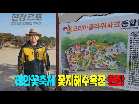 태안여행 태안가볼만한곳 태안꽃축제 안면도튤립축제 2018