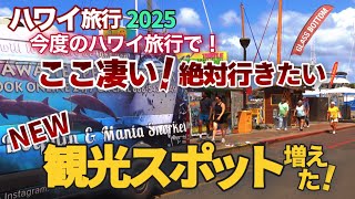 【ハワイ旅行】ここ凄い！今度のハワイ旅行で必ず行きたい観光スポットがまた増えた！いつもと同じ風景が全く違う景色になった新観光スポットの全貌！|ハワイの今|ハワイ旅行|