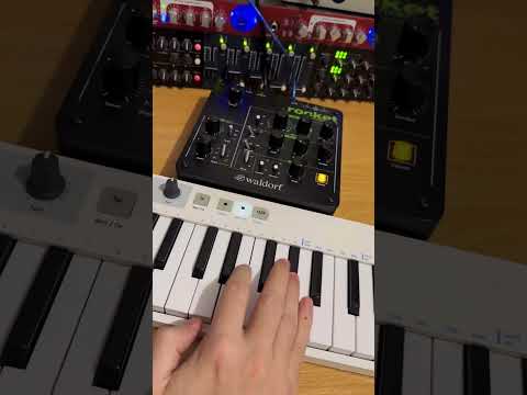 Recorded jam with Minibrute and Waldorf 🤖⚡️#arturia #keystep #waldorfrocket #streichfett #minibrute