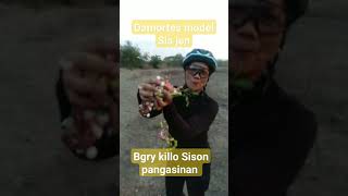 damortes pa more #music #bikers #love #travel #cycling #ladybikers #cyclingmusic