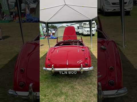 Austin Healey 3000 1960, lovingly restored to perfection. #classiccars #viralvideo #viralshorts