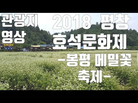 2018 평창효석문화제(봉평메밀꽃축제)