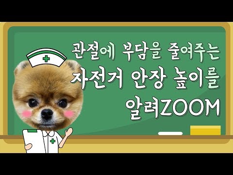 자전거 안장 높이 조절 방법 / 자전거 탈 때 아픈 이유｜포미의 알려ZOOM