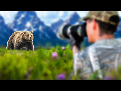 I Spent a Week Photographing Wildlife in Grand Tetons
