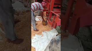 tractor se Makai Don taiyari Mahindra video#br #brvines #status_video #india 🇮🇳#vlog