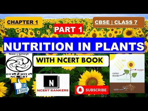 | NCERT |Class 7| Science Chapter 1 |Nutrition in plants|part 1| हिंदी में