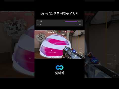 G2 vs T1 보고 깨달은 스팅어