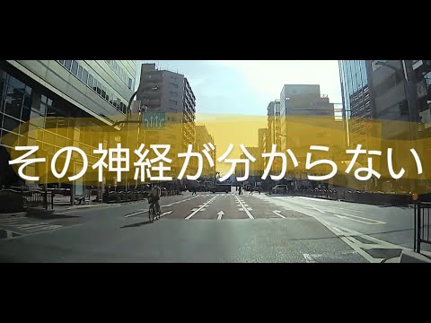 逆走自転車（第2走行車線 ド真ん中）