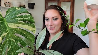 May Monthly Plant Favorites