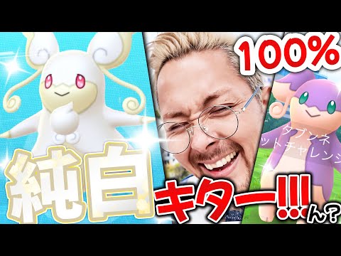 純白メガタブンネのレイドデイ！！砂！！100％！？色違いこれは…100じゃね！？【ポケモンGO】