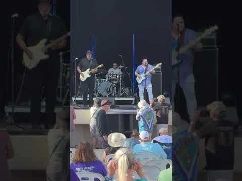 Spring the Blues festival 2025 #world #blues #concert #free #subscribers