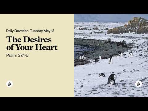 The Desires of Your Heart – Daily Devotional
