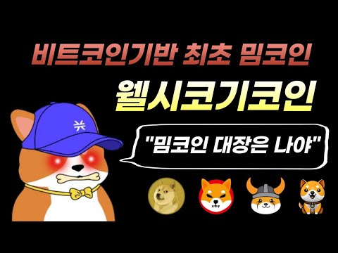 웰시코기코인이 비트코인기반 최초 밈코인이네? 밈테마 대장은 정해졌습니다. #웰시코인 #밈코인 #베이비도지코인 #시바이누 #페페