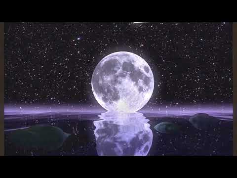 Earmake - The Nightwolf