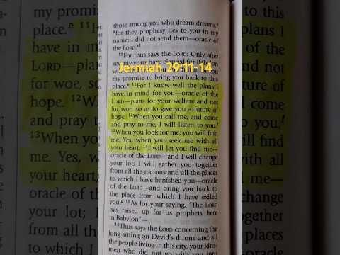 Jeremiah 29:11 #bibleverse #bible #catholic #jesuschrist #christian