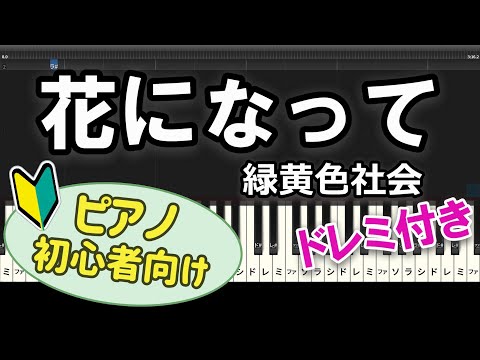 【初心者向け】「花になって / 緑黄色社会」ピアノアレンジ【薬屋のひとりごと】