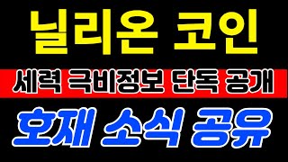 닐리온 세력 극비정보 공개합니다 닐리온 이건 꼭 알고 투자 해야 합니다!