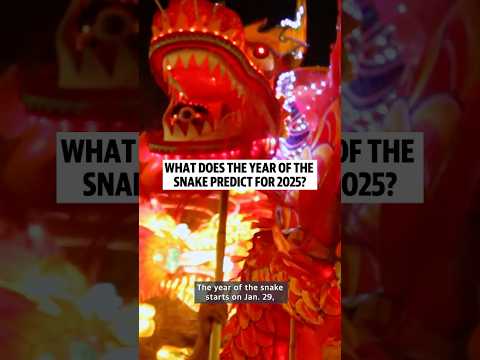 What does the year of the snake predict for 2025?