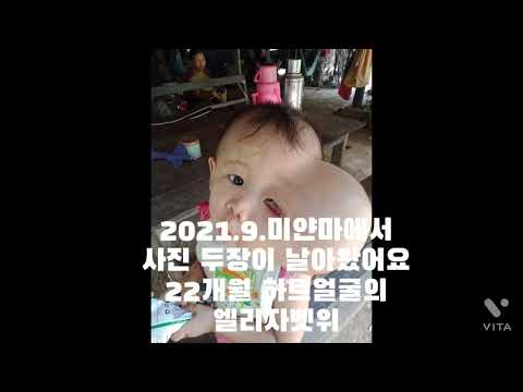 크리스티 하트