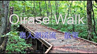 Oirase Walk　奥入瀬散策