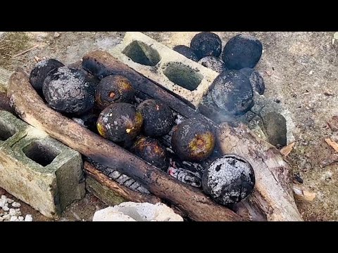 BREAKFAST IN JAMAICA | ROAST BREADFRUIT | PICKING AVOCADO | COUNTRY LIVING