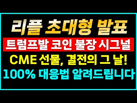 리플 대형호재 ETF D-day! 트럼프발 불장 시즌 임박했습니다!