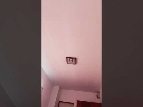 7 ตุลาคม 2565