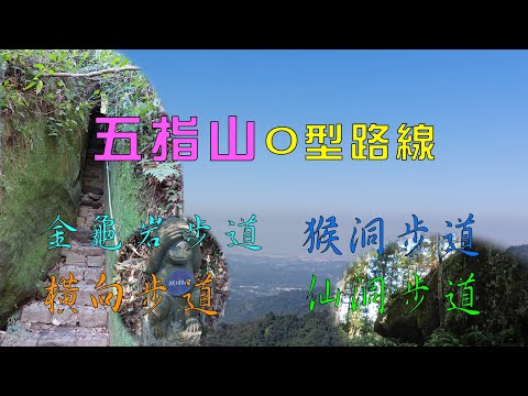 五指山O型路線//金龜岩步道，貌態逼真的石龜。猴洞步道，鬼斧神工的一線天，(步道小段崩塌)。橫向步道，森林浴好地方。仙洞步道，成仙的小步道。