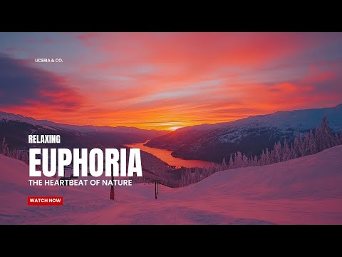 Spiritual Healing Euphoria: Relaxing Electronic Meditation Music | 2024 Soothing Sounds