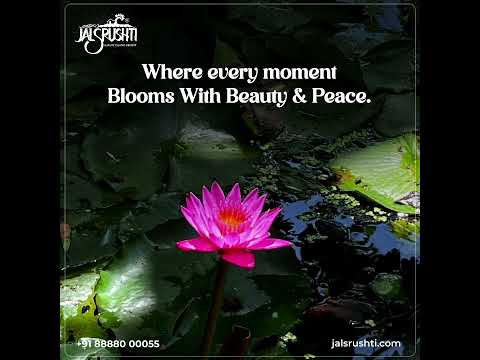 Serene Beauty of Nature