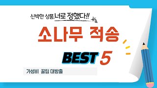 소나무 적송 쇼핑 가이드 추천 TOP5