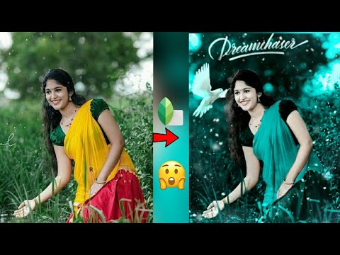 Snapseed Green and Bird Effect Photo Editing Tutorial | Snapseed Background Colour Change Tricks
