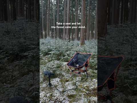 Relaxing winter forest sounds 🌲 #relax #nature