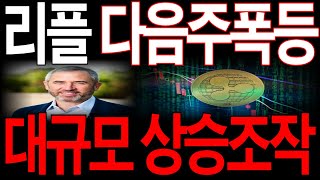 [리플 엑스알피] 다음주 폭등할겁니다. 재단의 대규모 상승조작 단독공개