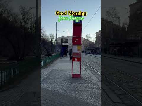 Prague Streets Thursday | Morning Rush February 20, 2025 #winter #pragmatic #czechrepublic