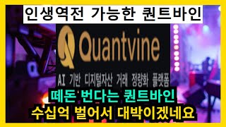 수십억 번다는 퀀트바인 Quantvine 긴급 생방송